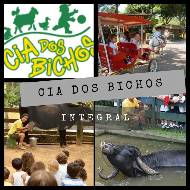 003fc63f38b34fdf94e10579b1c40abb