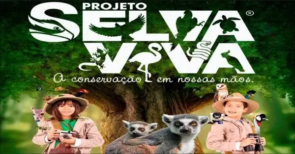 0a0006d1136d4c5297259140201380bc