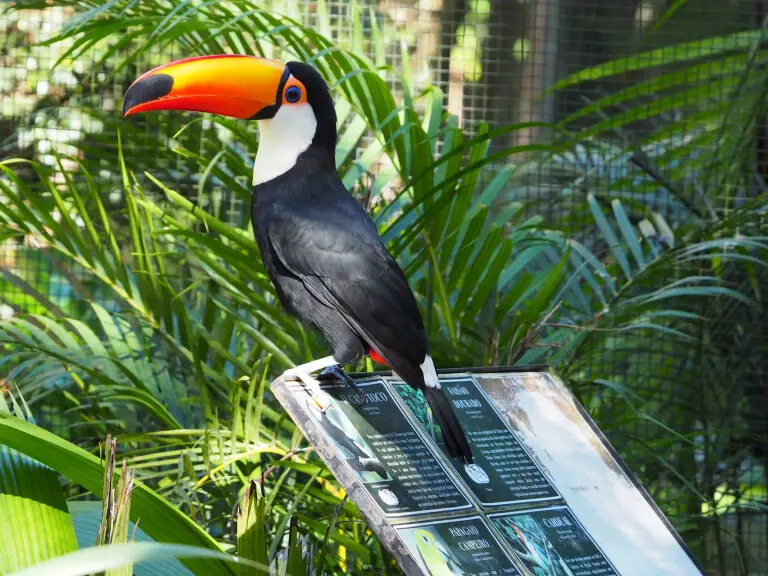 0b282b447081463c8d7858649bfb8331