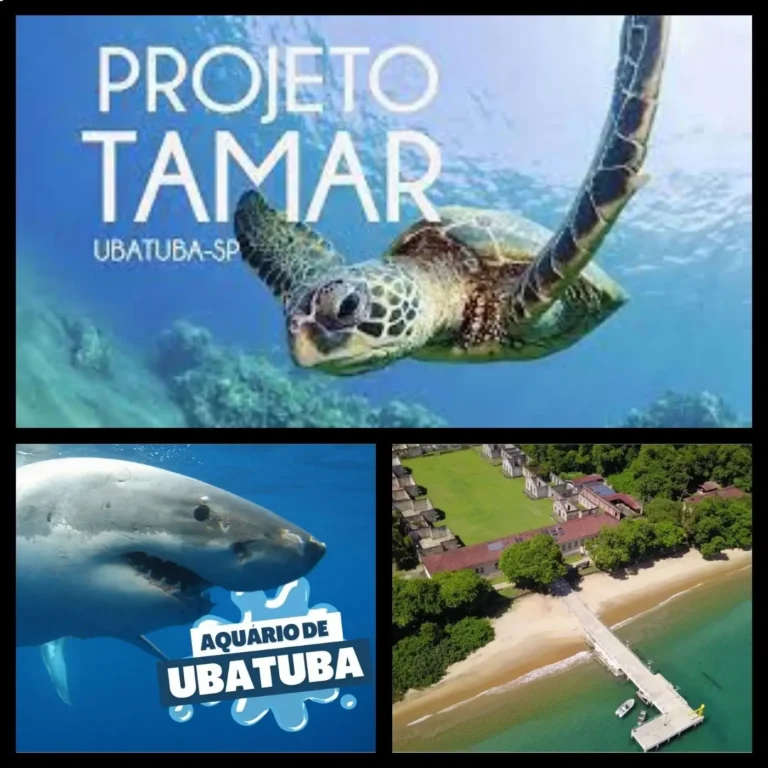 14f59db6ed6e47d393bc5cf50128d58a