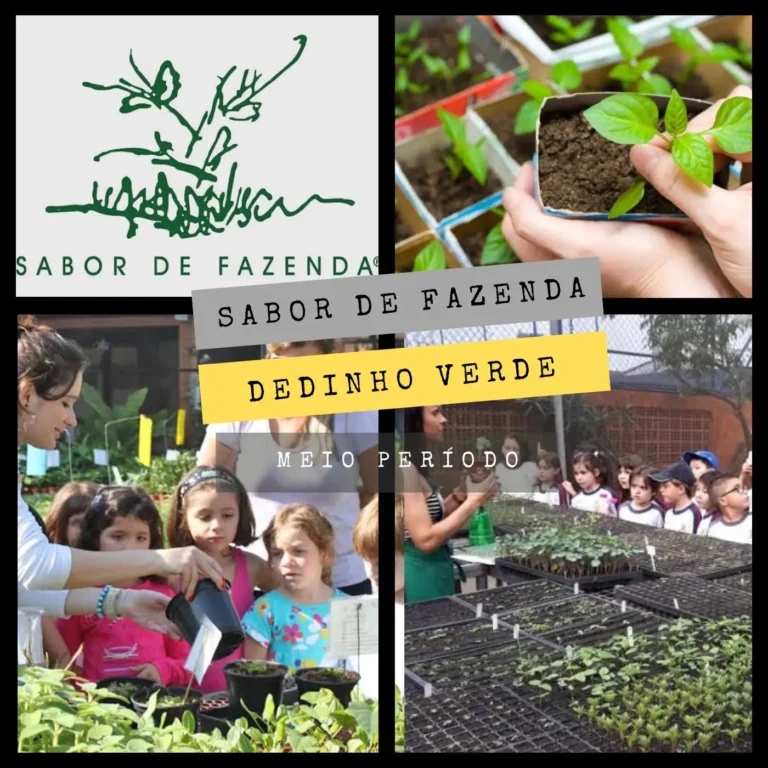 204add93dea74aa696b6aa1f3fd2060e