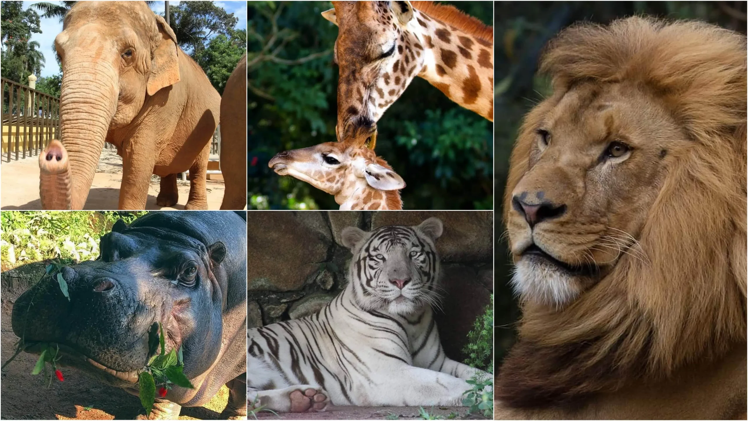 20fb2a4e68714eec97c406bfc6945fbe