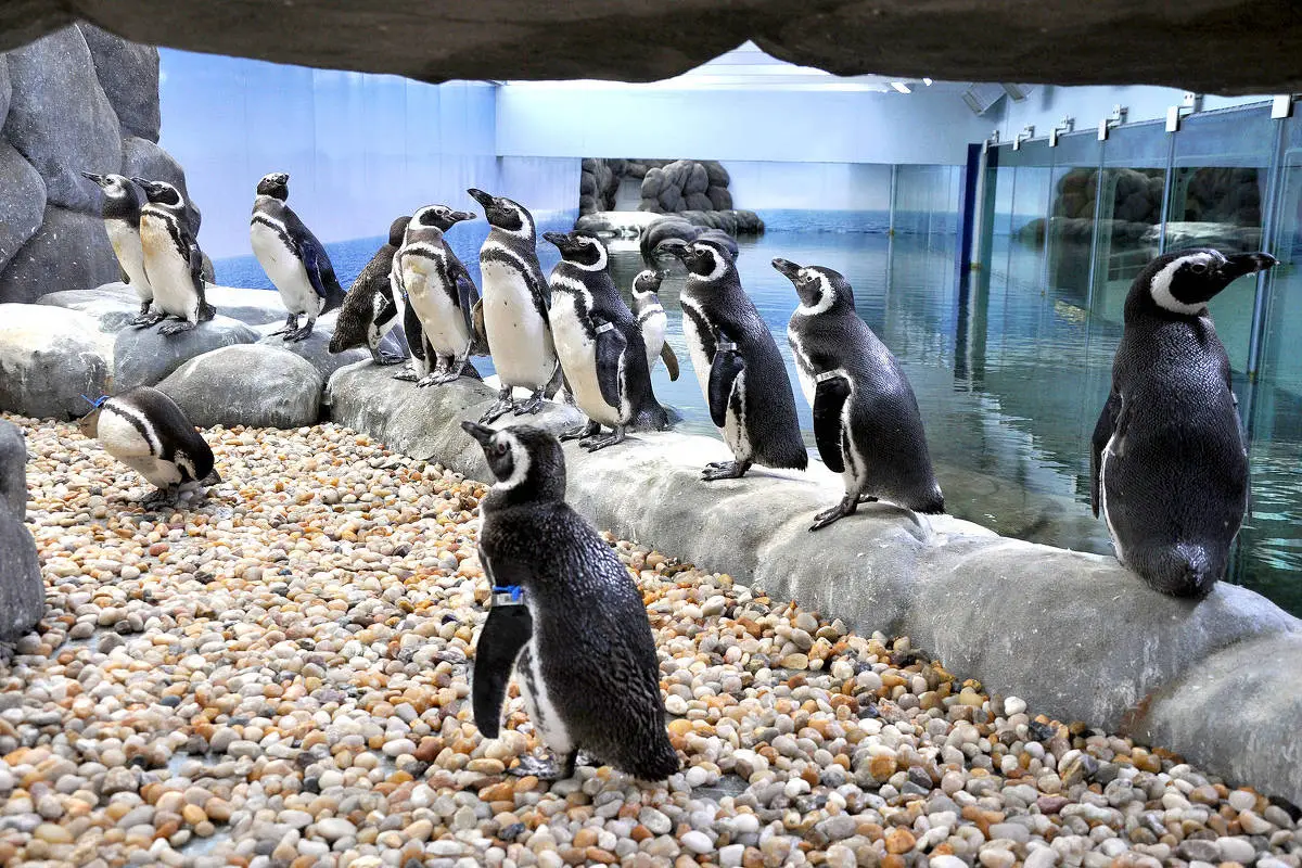 21075ad2ff71496baecdc0a7d4102e8d