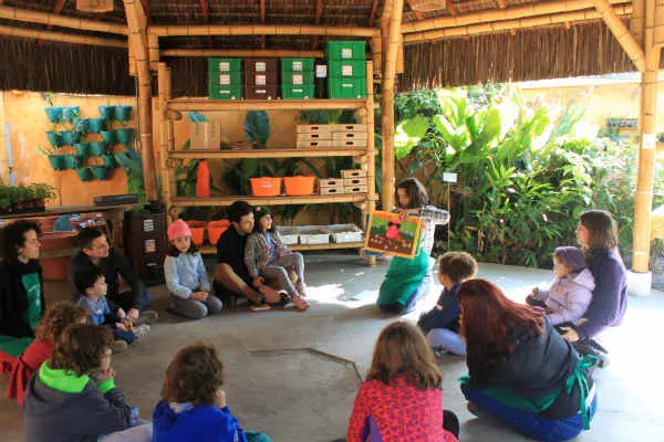 243dba605bfd435088381fe34fd2409a