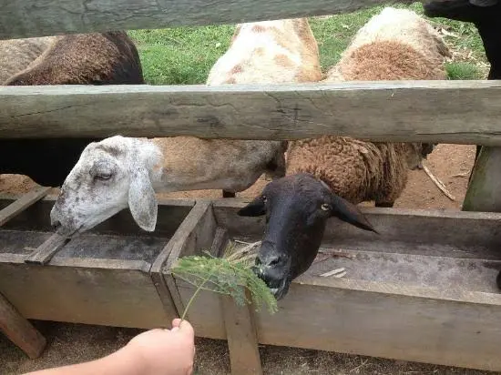 24fa421b0aea430ab4cd2bd60079ecd8