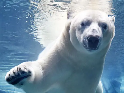 27150767765e42b2ac66c517dda77eba