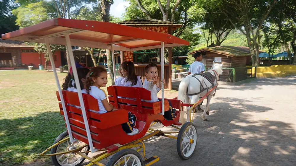 286611627e8b4352b7abe95871aa02c7