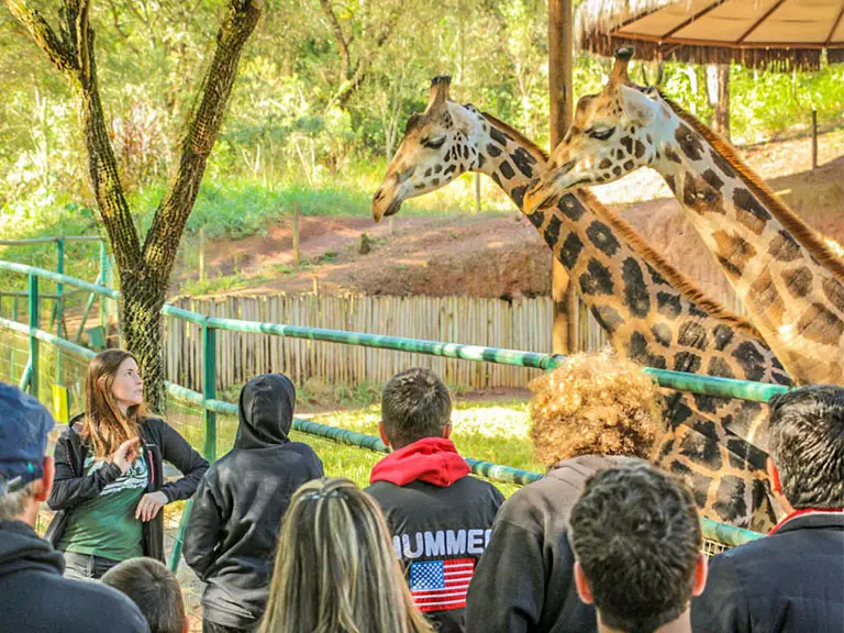 3e6c4f8ff76d4ad8a37b5ca63b82d5cd