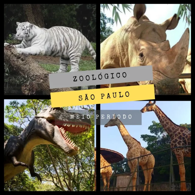 3ebdda7c8c3f499a91aaf93120f32134