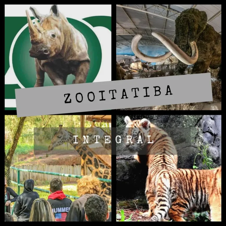 4afa6431753b419bac03bb9696adb810