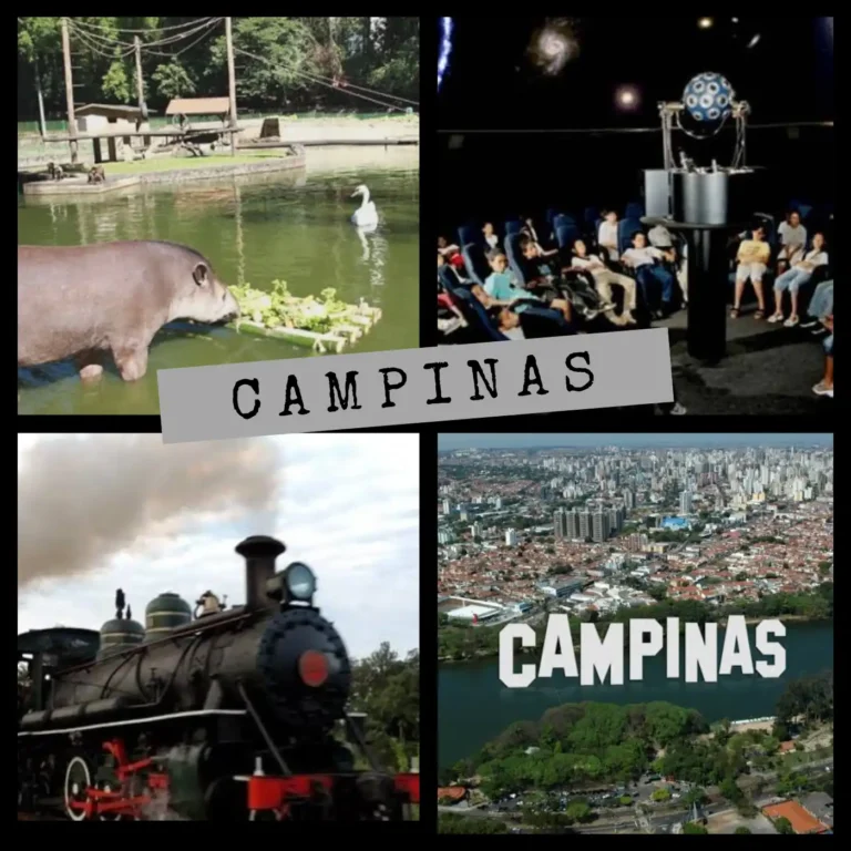 52240b624c4e4a8d82669de997a8862e