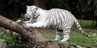 59b6474b23e145369001a278202b6403