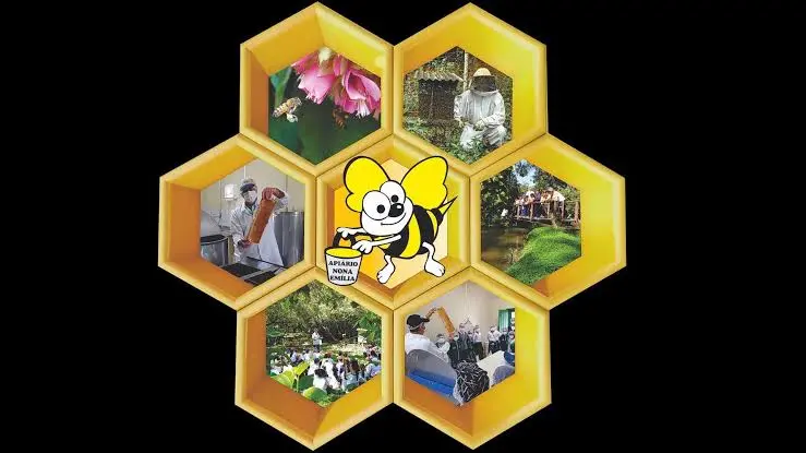 698eca3b6c244d17a24d57ac7a5d9516