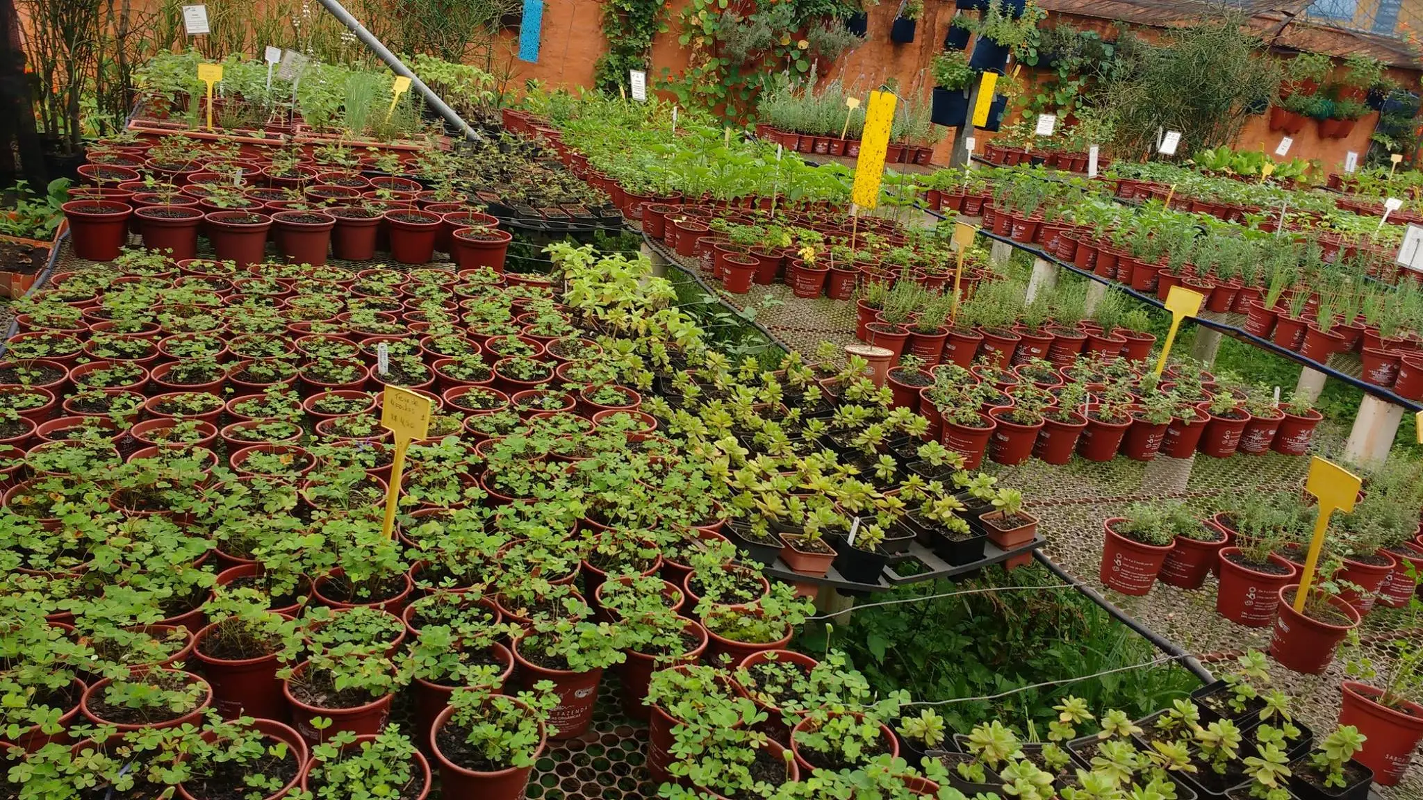 69f2f1d547444061acae5f7532733a33