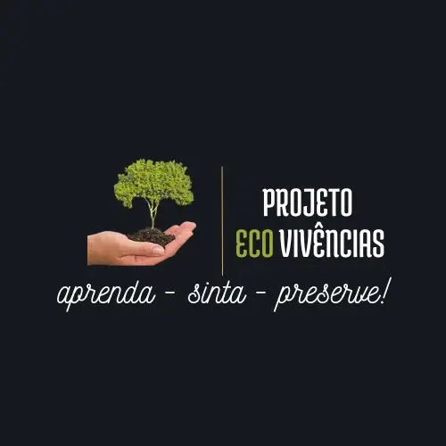 872400f0477940bbb05c27285f148a87