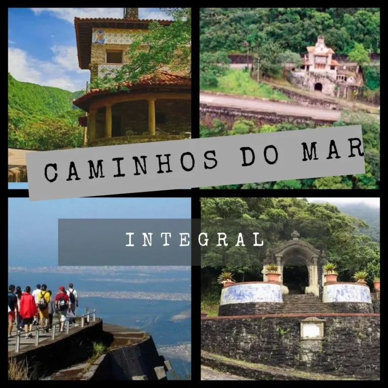 89028d3331e5454a9c5282f14bc241e2