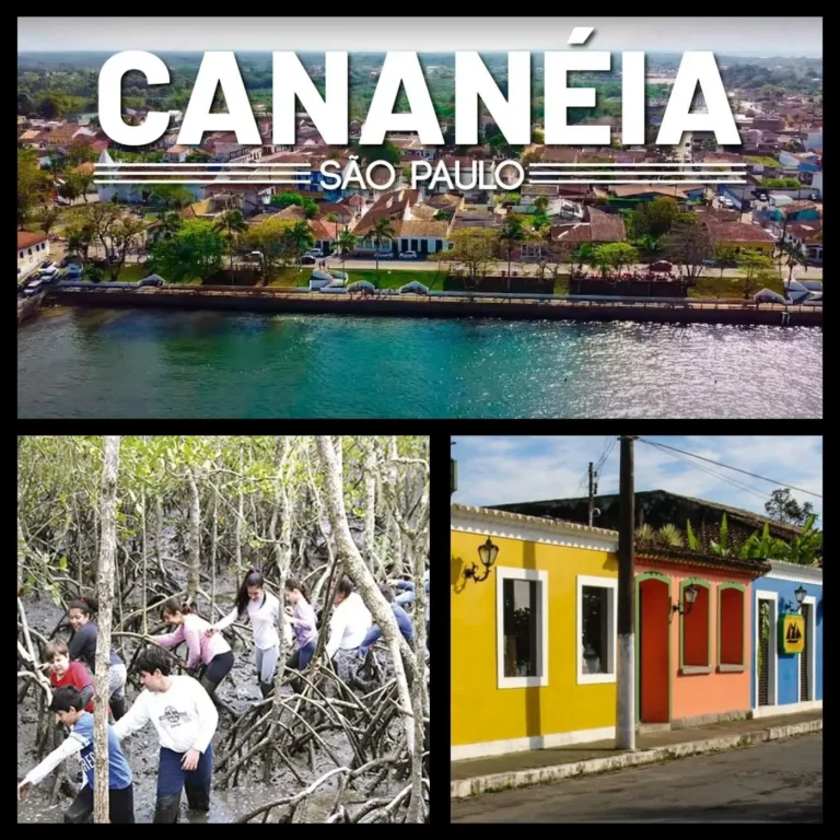 8e36e32a9f59438c913abc3dde6ed9e8