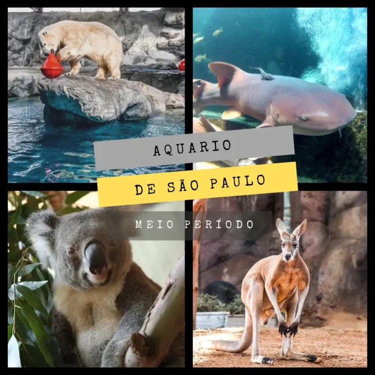 9446dd58108b420e81009334ef6bfcbc