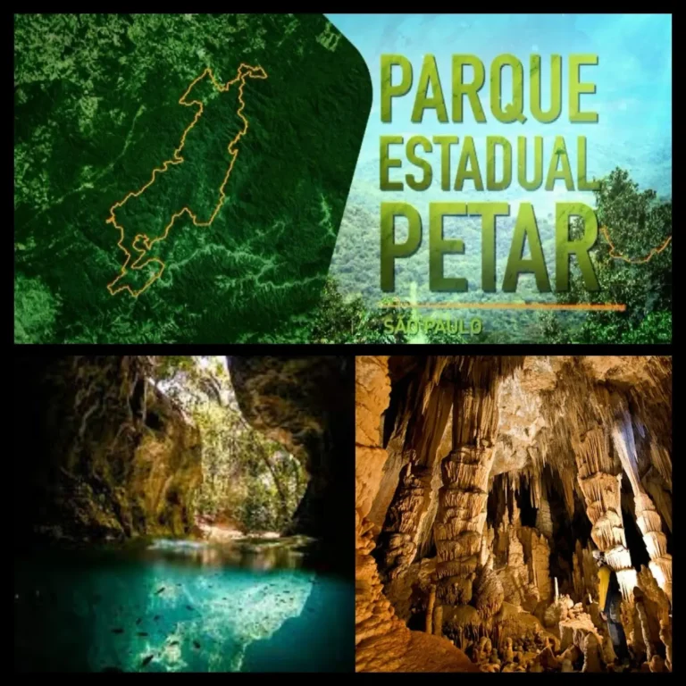 A2a03e0e85354e04bbdf0d6bacb5fddf