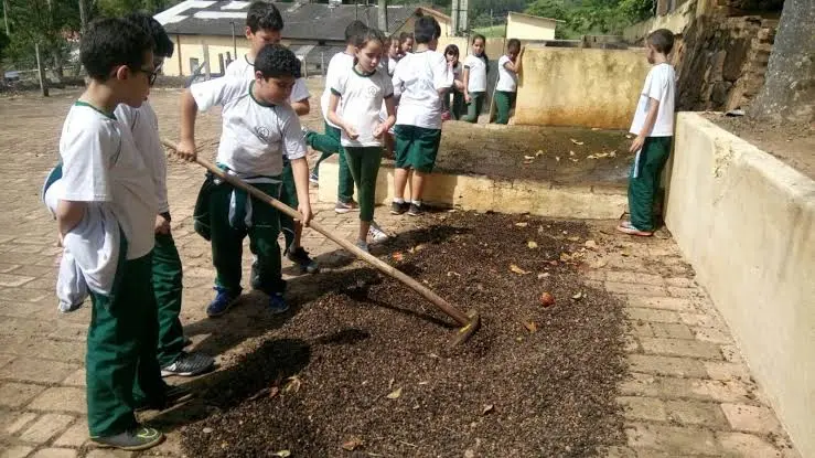 A88d91421e1e4998a5f561b89218f95c