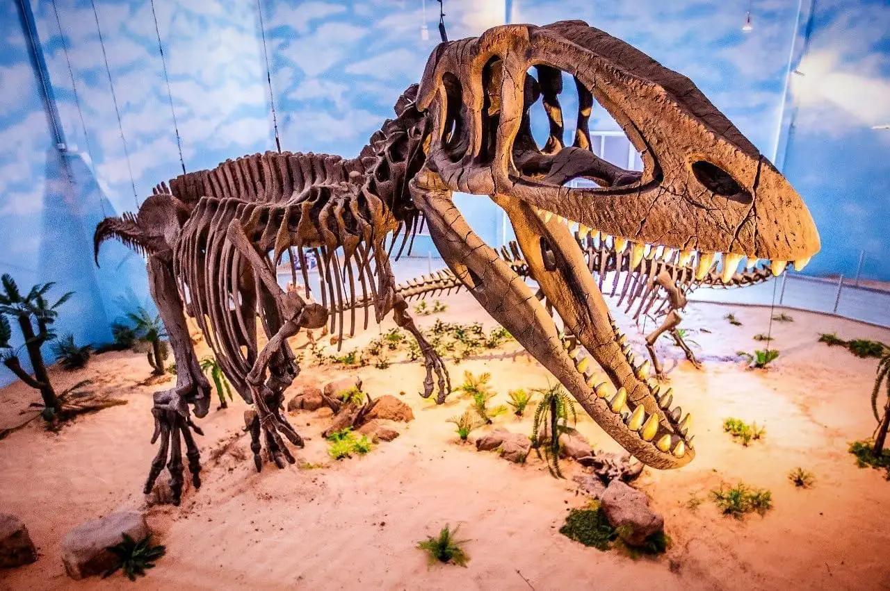 Ac03e13eb021428ebb67af039bc84457