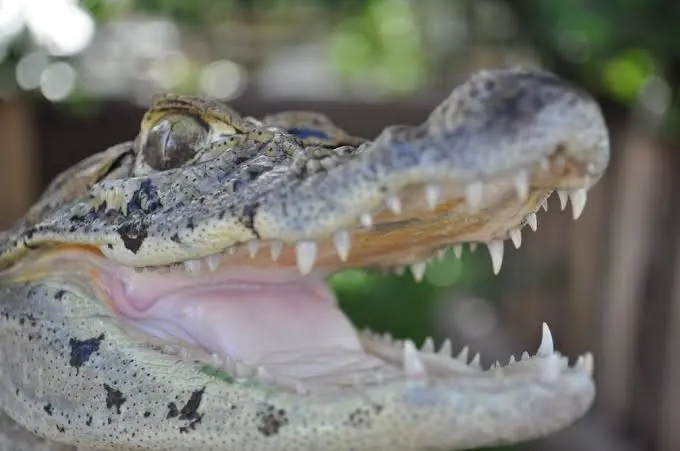 D75dc5c027d0424d992c36d6a24d6b02