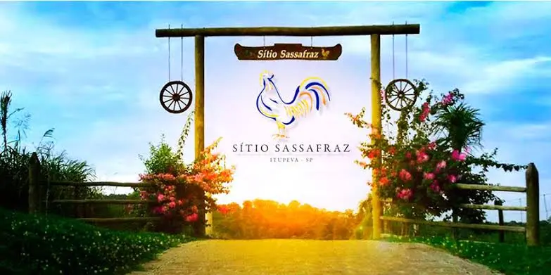 D85698241a6748009c32bad7af4a96ba