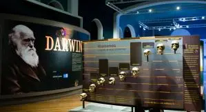 F3640208aa2b4b4dace0cef0b25aa0c9