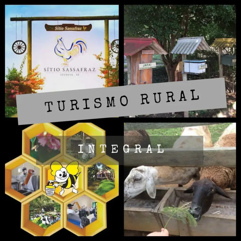 F3d8863ac36a407a9675d4e9afc4dcba